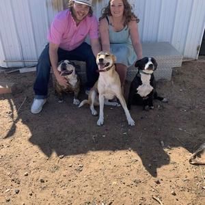 Meet your Posher, Dylan